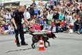 Polizeishow   030
